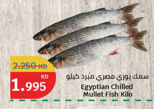 available at City Hypermarket in Kuwait - Jahra Governorate