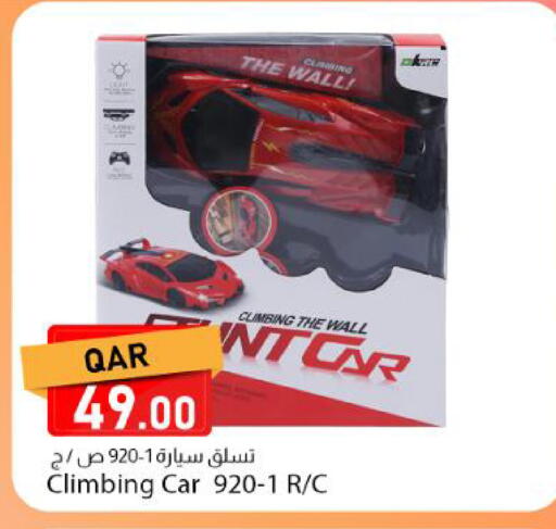 available at دانا ماركت in قطر - الوكرة