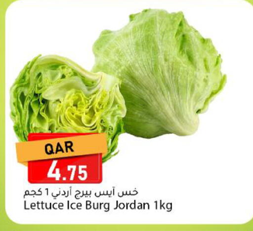 Lettuce from Jordan available at Dana Market in Qatar - Al Rayyan