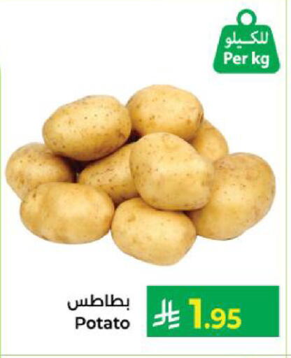 Potato available at Kabayan Hypermarket in KSA, Saudi Arabia, Saudi - Yanbu