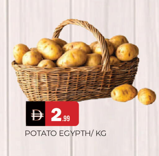 Potato available at المدينة in الإمارات العربية المتحدة , الامارات - الشارقة / عجمان