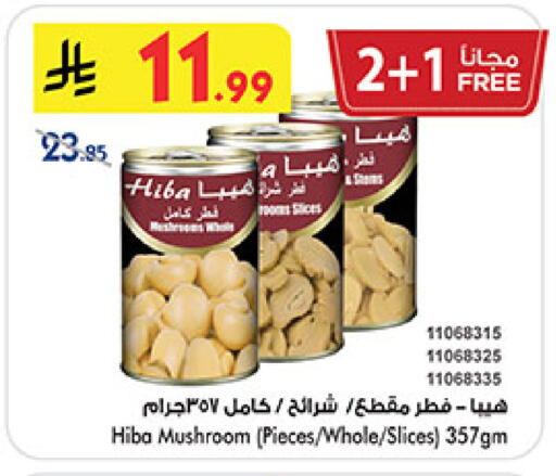 Mushroom available at بن داود in مملكة العربية السعودية, السعودية, سعودية - مكة المكرمة