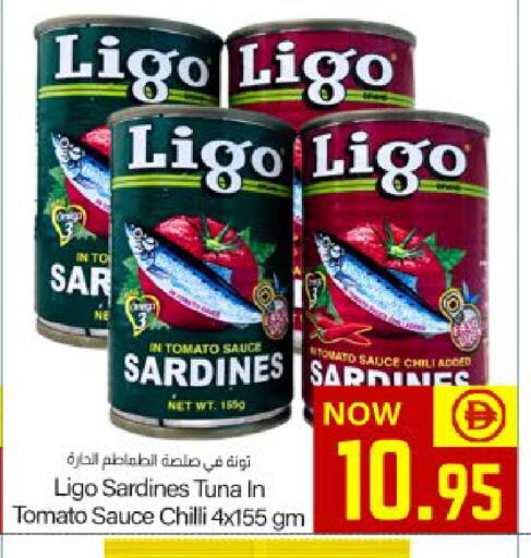 Tomato Chilli available at Meem Sajidha in UAE - Fujairah