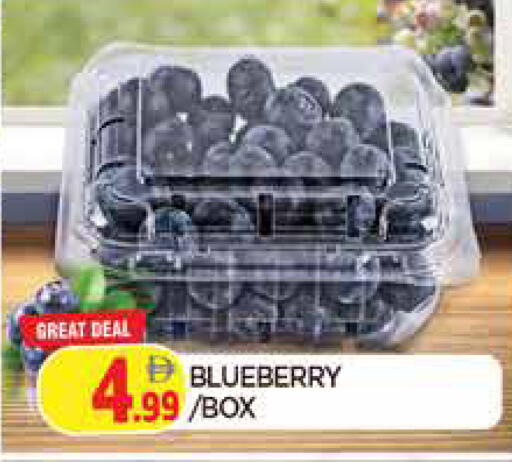 Blueberry BlueBerry available at المدينة in الإمارات العربية المتحدة , الامارات - الشارقة / عجمان