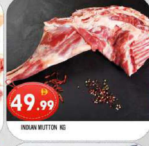 available at المدينة in الإمارات العربية المتحدة , الامارات - الشارقة / عجمان