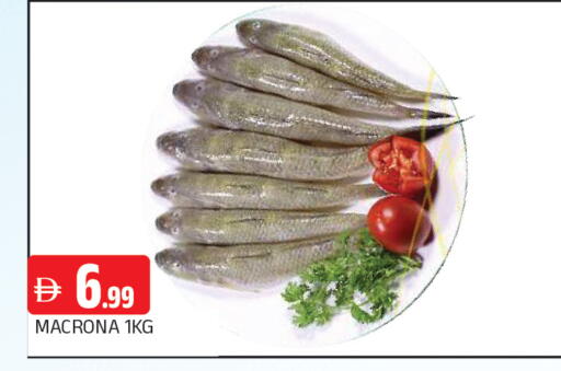 available at المدينة in الإمارات العربية المتحدة , الامارات - الشارقة / عجمان