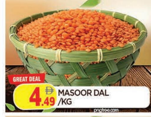 available at المدينة in الإمارات العربية المتحدة , الامارات - الشارقة / عجمان