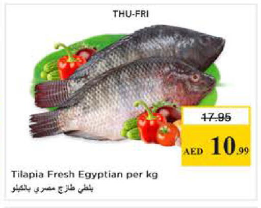 available at Nesto Hypermarket in UAE - Abu Dhabi