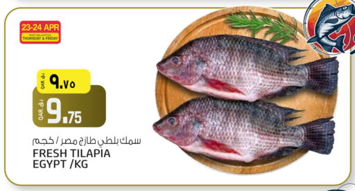 available at السعودية in قطر - أم صلال