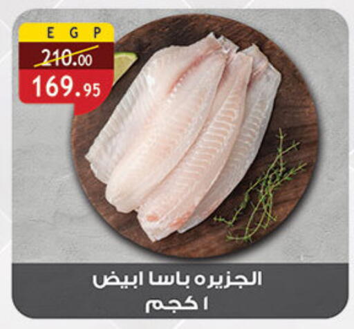 available at الرايه  ماركت in Egypt - القاهرة