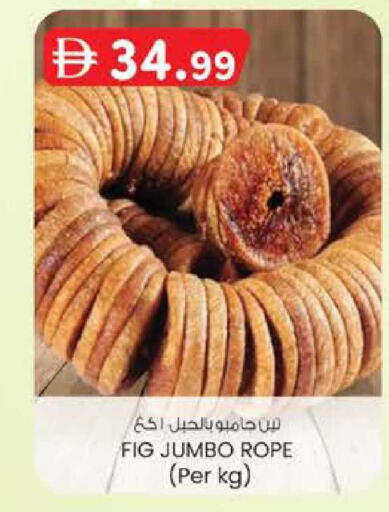 Fig available at Al Safa in UAE - Abu Dhabi