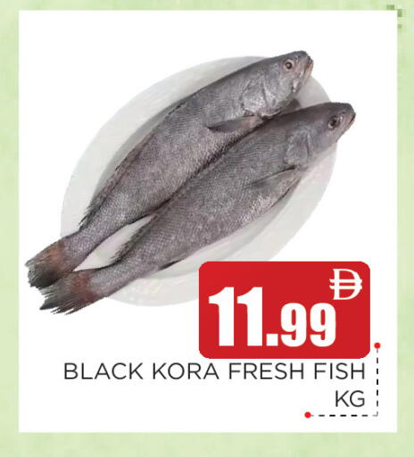 available at عين المدينة هايبرماركت in الإمارات العربية المتحدة , الامارات - الشارقة / عجمان