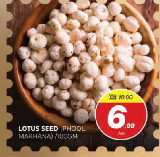 available at المدينة in الإمارات العربية المتحدة , الامارات - الشارقة / عجمان