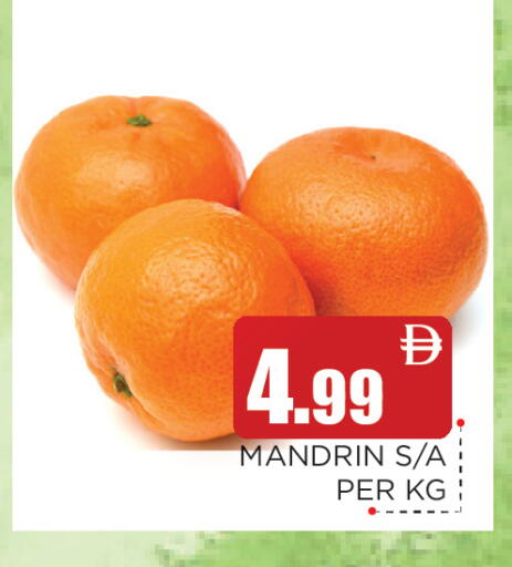 available at عين المدينة هايبرماركت in الإمارات العربية المتحدة , الامارات - الشارقة / عجمان