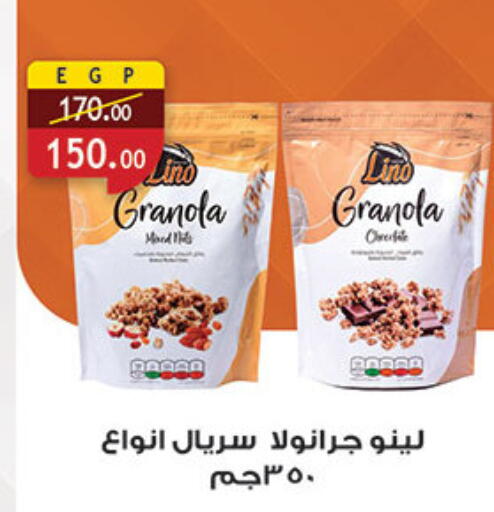 available at الرايه  ماركت in Egypt - القاهرة