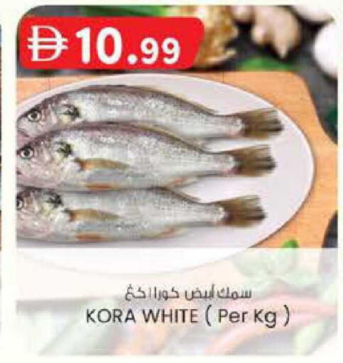 available at صفا هايبر in الإمارات العربية المتحدة , الامارات - ٱلْعَيْن‎