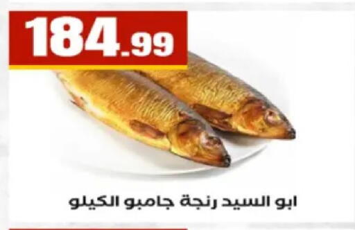 available at El Mahlawy Stores in Egypt - Cairo