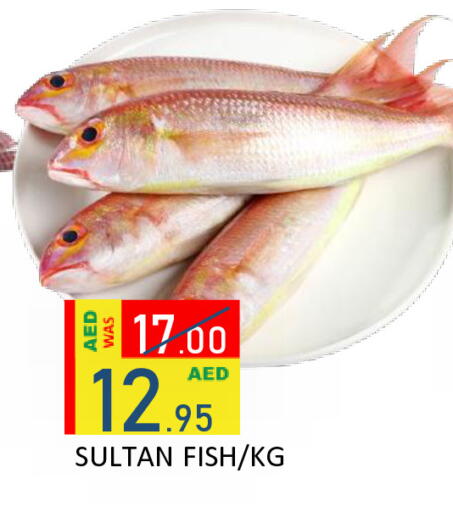 available at رويال جلف هايبرماركت in الإمارات العربية المتحدة , الامارات - أبو ظبي