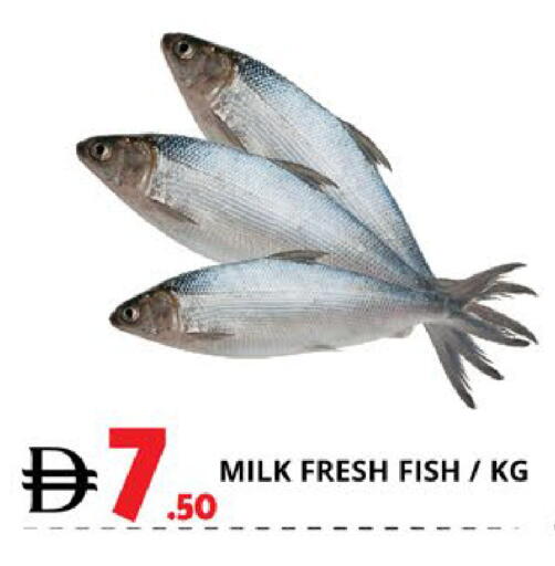 available at اكسبرس المدينة هايبرماركت in الإمارات العربية المتحدة , الامارات - أبو ظبي