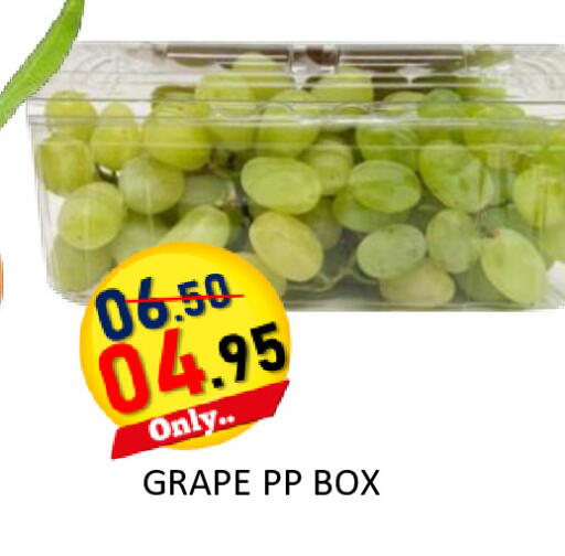 available at رويال جلف هايبرماركت in الإمارات العربية المتحدة , الامارات - أبو ظبي