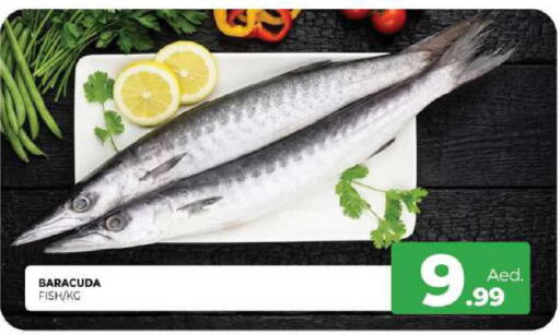 available at المدينة in الإمارات العربية المتحدة , الامارات - الشارقة / عجمان