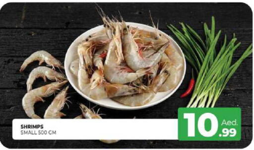 available at المدينة in الإمارات العربية المتحدة , الامارات - الشارقة / عجمان