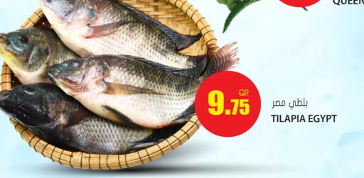 available at جراند هايبرماركت in قطر - الريان