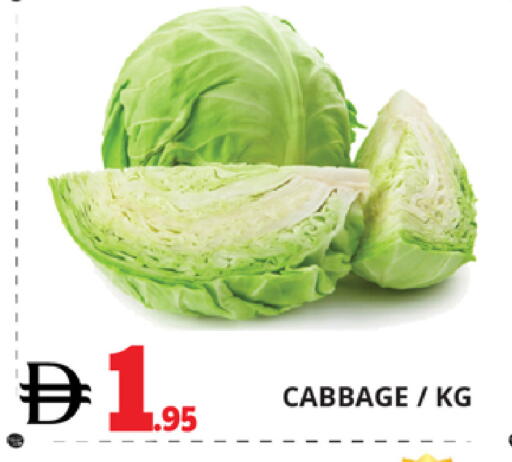 Cabbage available at اكسبرس المدينة هايبرماركت in الإمارات العربية المتحدة , الامارات - أبو ظبي