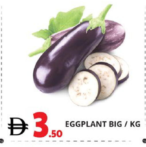 Eggplant available at اكسبرس المدينة هايبرماركت in الإمارات العربية المتحدة , الامارات - أبو ظبي