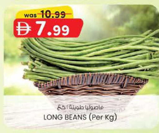 available at ك. الم. للتجارة in الإمارات العربية المتحدة , الامارات - دبي