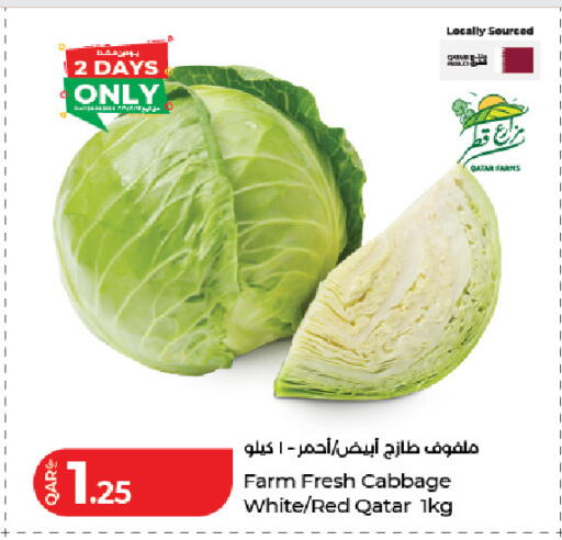 Cabbage from Qatar available at LuLu Hypermarket in Qatar - Doha
