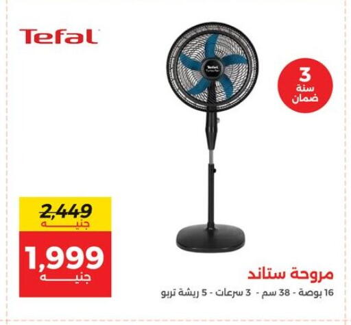 available at Raneen in Egypt - Cairo