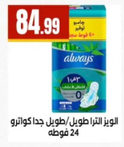 available at El Mahlawy Stores in Egypt - Cairo