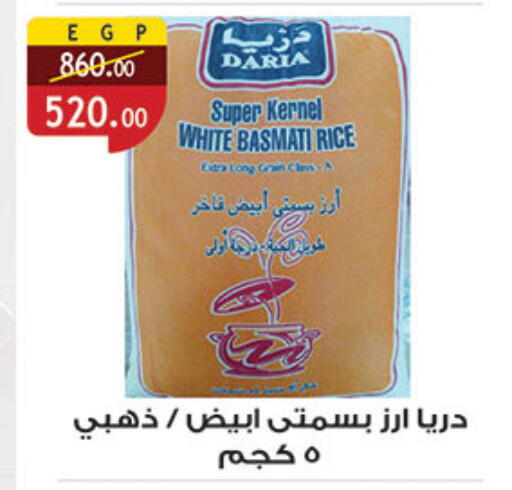 available at الرايه  ماركت in Egypt - القاهرة