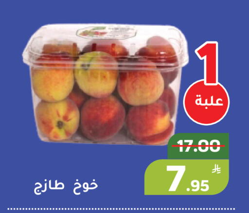 Apple available at Green Apple Market in KSA, Saudi Arabia, Saudi - Al Hasa