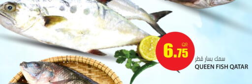 available at جراند هايبرماركت in قطر - الريان