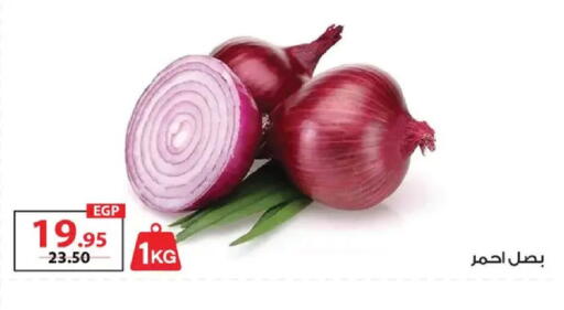 available at  Zahran Market in Egypt - Cairo