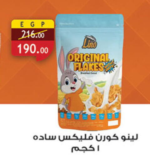 available at الرايه  ماركت in Egypt - القاهرة