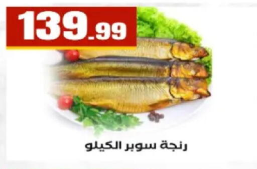 available at El Mahlawy Stores in Egypt - Cairo