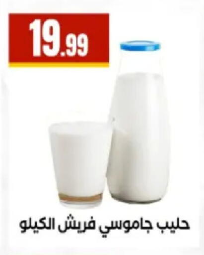 available at El Mahlawy Stores in Egypt - Cairo