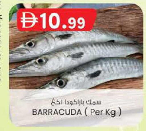 available at K M Trading  in UAE - Fujairah