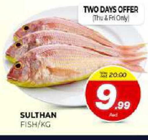 available at المدينة in الإمارات العربية المتحدة , الامارات - الشارقة / عجمان