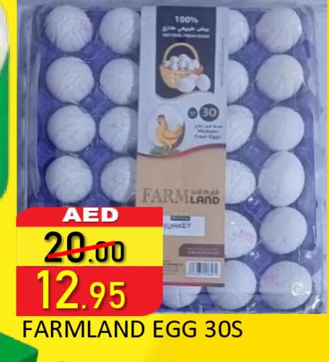 available at رويال جلف هايبرماركت in الإمارات العربية المتحدة , الامارات - أبو ظبي