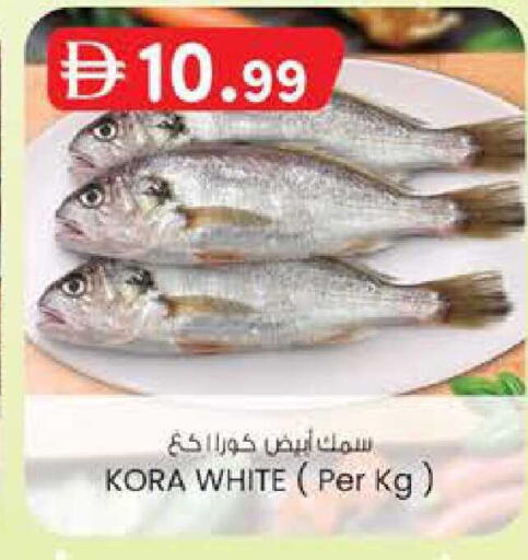 available at K M Trading  in UAE - Sharjah / Ajman