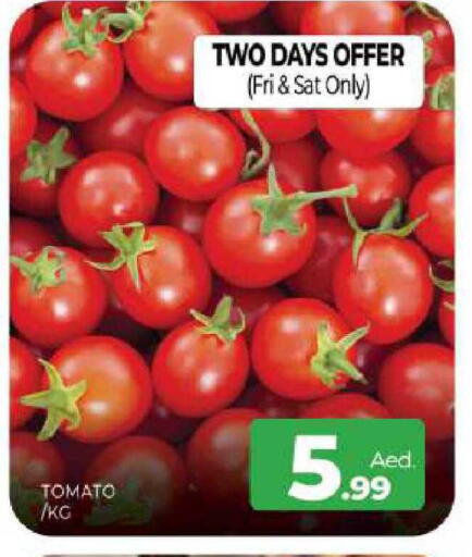Tomato available at Al Madina  in UAE - Sharjah / Ajman