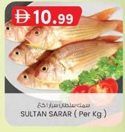 available at K M Trading  in UAE - Sharjah / Ajman