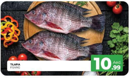 available at المدينة in الإمارات العربية المتحدة , الامارات - الشارقة / عجمان