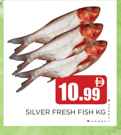 available at عين المدينة هايبرماركت in الإمارات العربية المتحدة , الامارات - الشارقة / عجمان