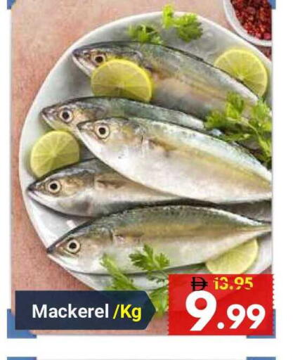 available at ديزرت فريش ماركت in الإمارات العربية المتحدة , الامارات - أبو ظبي