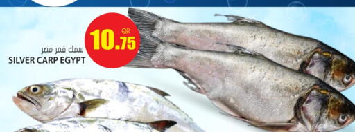 available at جراند هايبرماركت in قطر - الريان